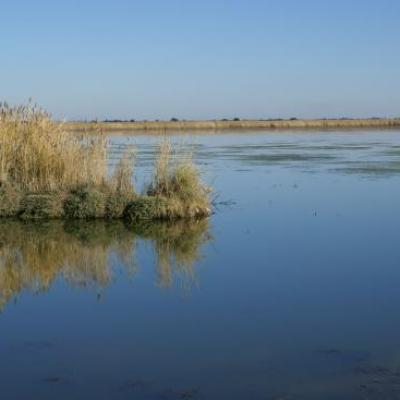 votre environnement