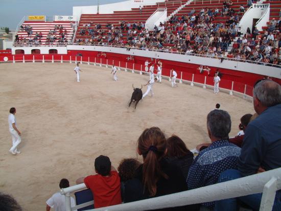 LES JEUX TAURINS