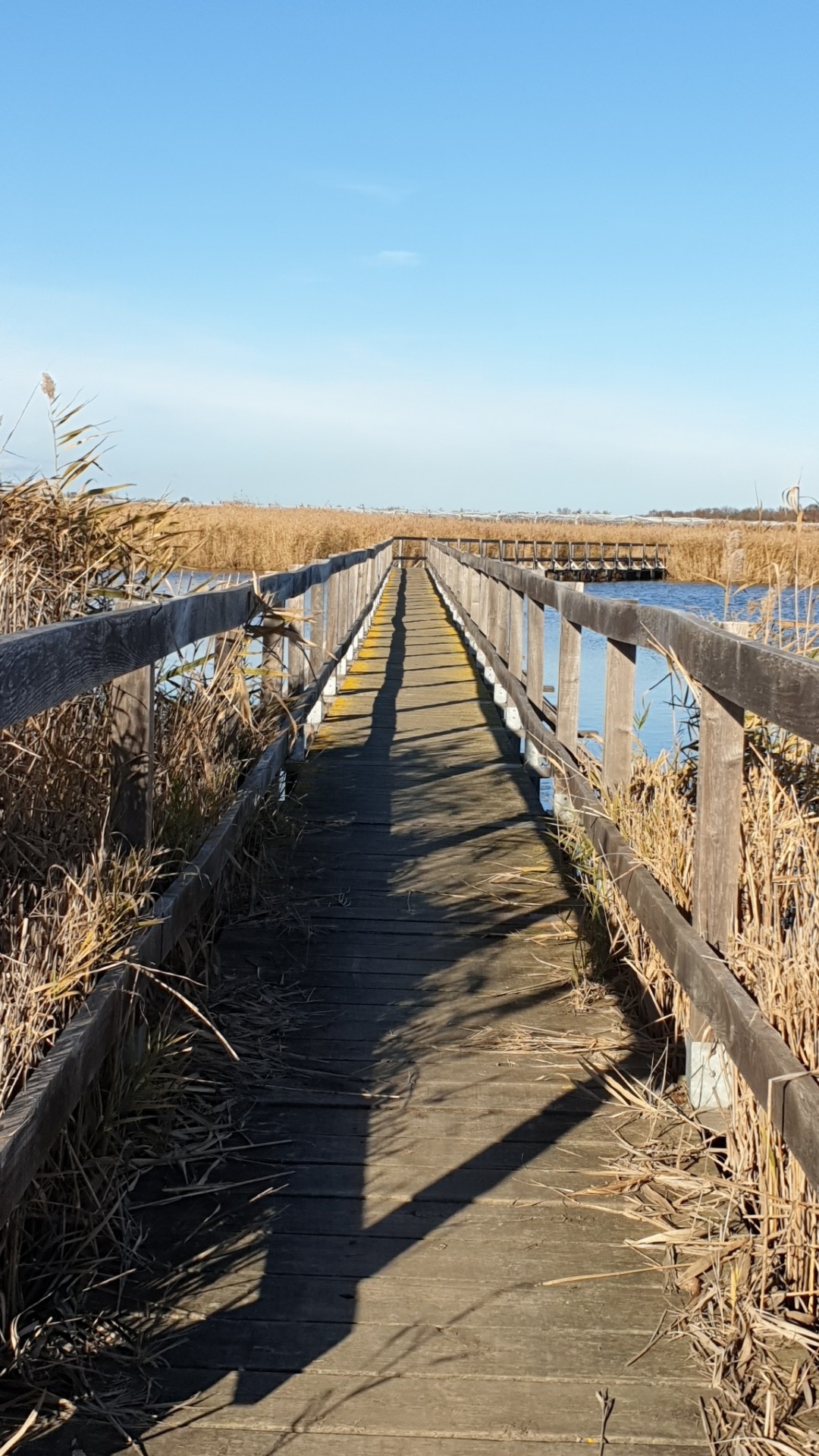 Passerelle 1