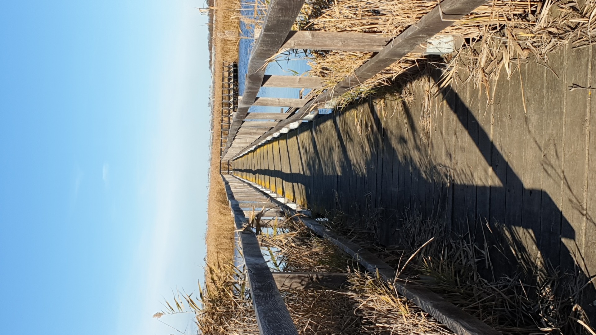 Passerelle